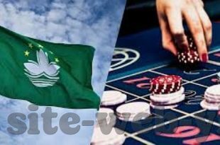 森林舞会游戏开挂软件-森林舞会游戏开挂软件，虚拟世界中的灰色地带